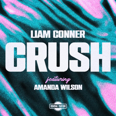 Crush (ft. Amanda Wilson)