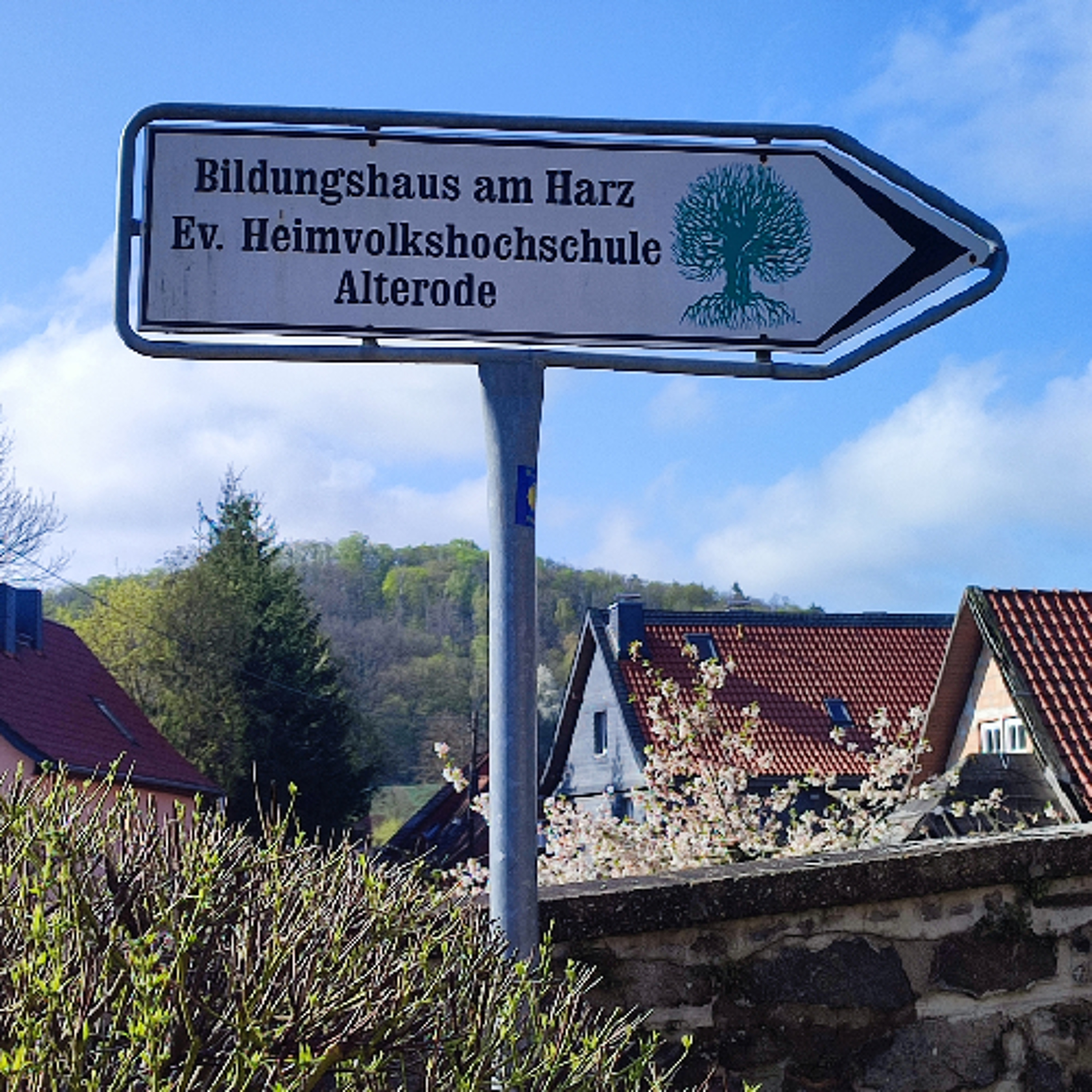Erdbeerfest in der Heimvolkshochschule Alterode episode artwork