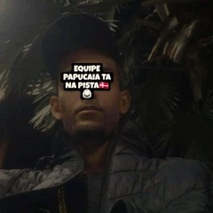 SEQUÊNCIA DAS MAIS TOCADAS NO TIKTOK VS AS MELHORES DO RJ TIKTOK 2024 [ BAILE DE PAPUCAIA ]LR√
