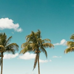 Lay Back In The Breeze