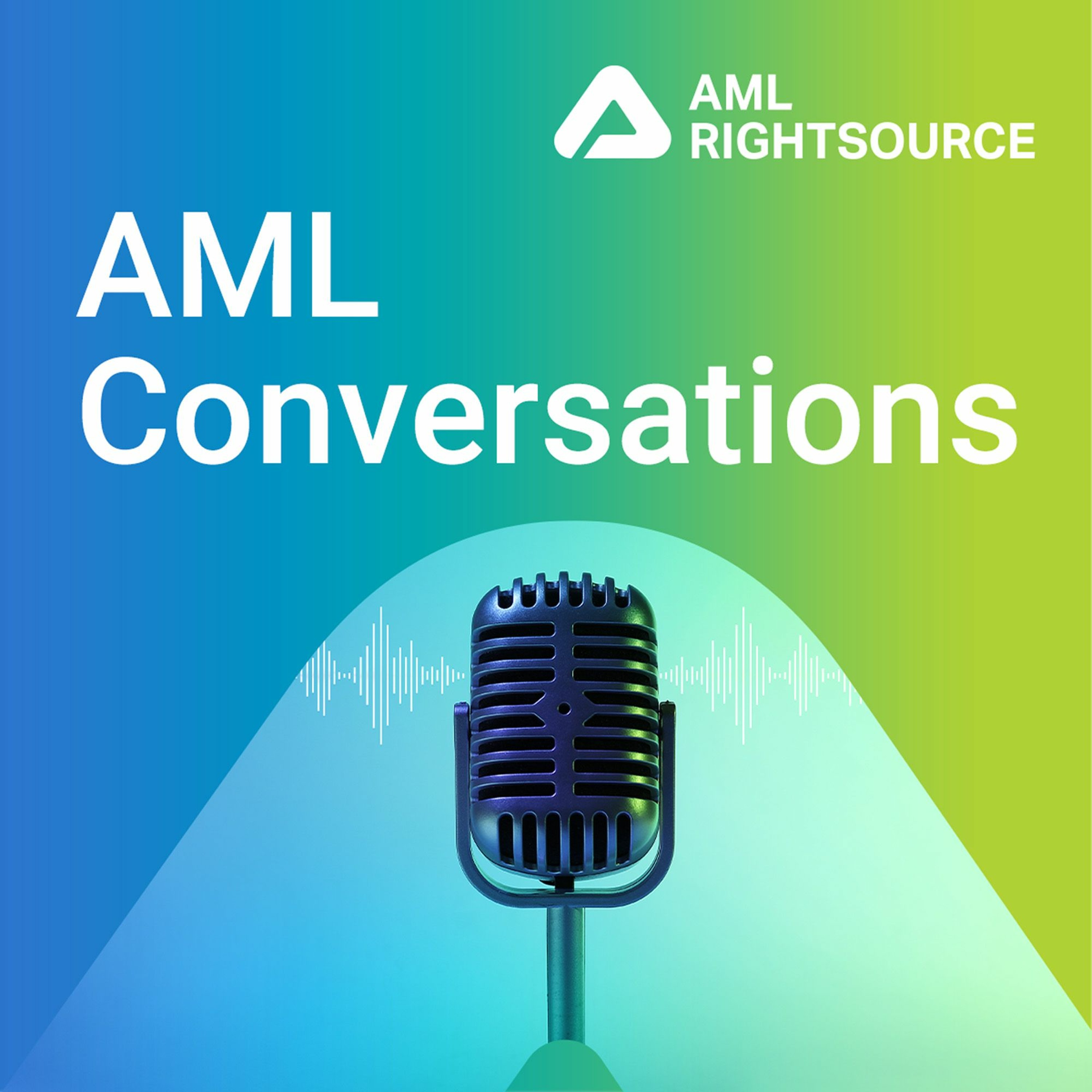 Interview with Ryan Wallerstein - Access to FinCrime Information - a New Resource episode artwork