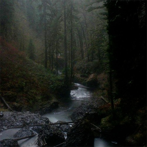 you walk all over me (feat. richmnkey)