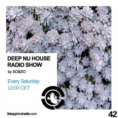 Ibiza Global Radio - Deep Nu House by SO&SO Episode 042
