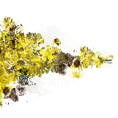 Baisbe Alt Bass (Digital Edit)