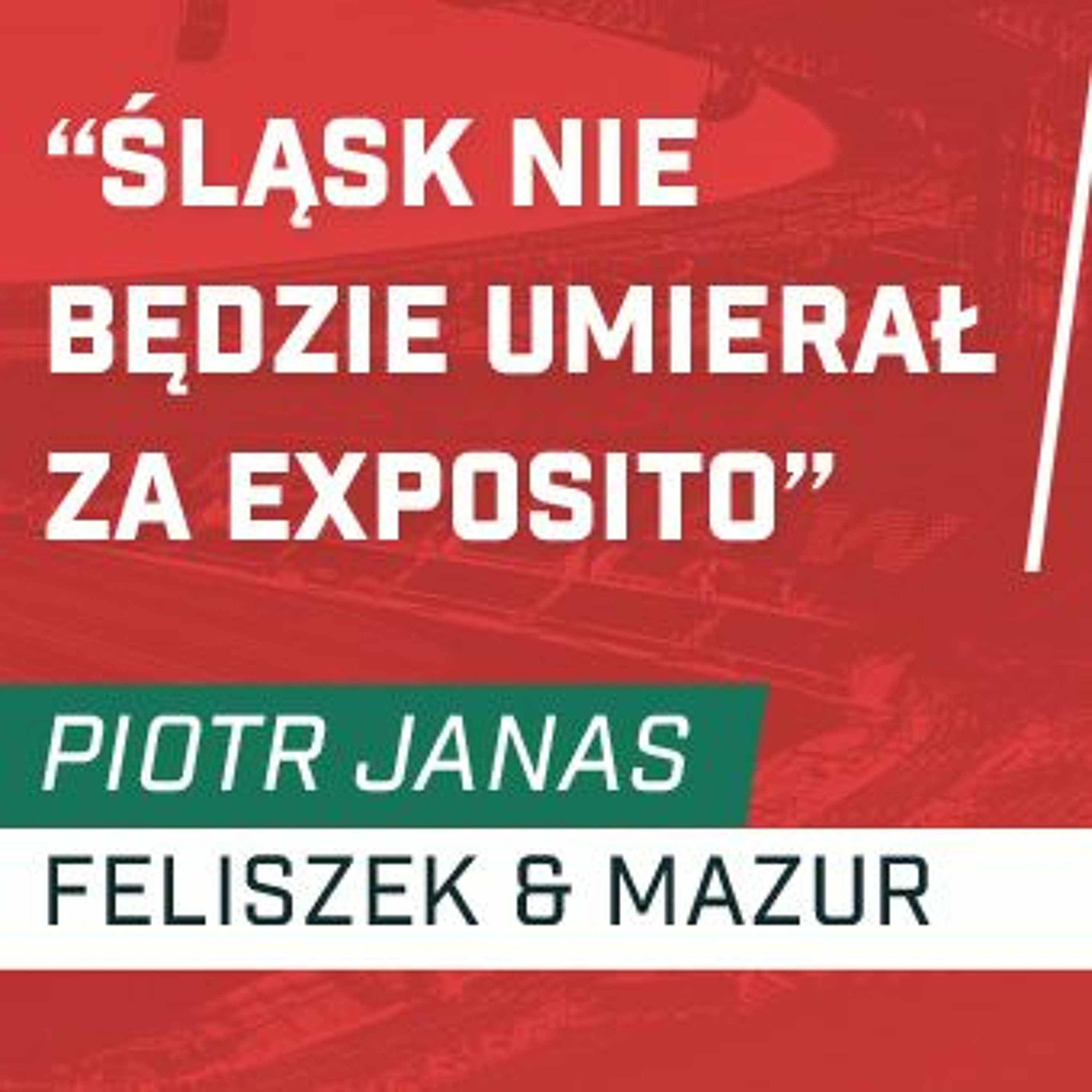 Śląsknet