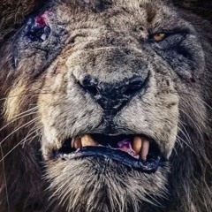 Sauna 1 2 maailm mis elab sinus laup.m4a