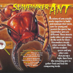 Slavemaker