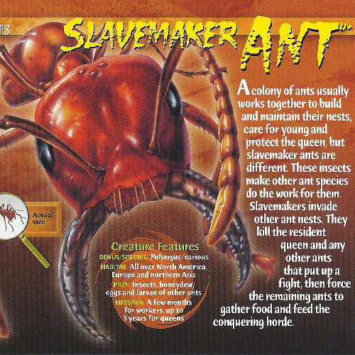 Slavemaker