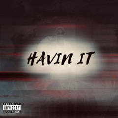 HAVIN IT (prod. VRTN)