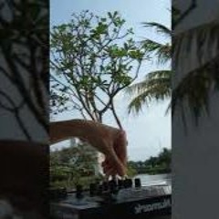 random mix in phu quoc