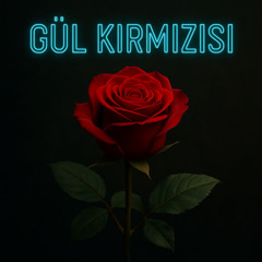 Gül Kırmızısı 6.0