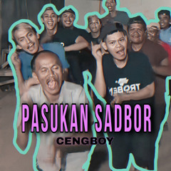 Pasukan SADBOR