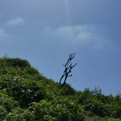 El castigo de Eros (Prod. Gato beatz) - Vasco (Lil Muña)