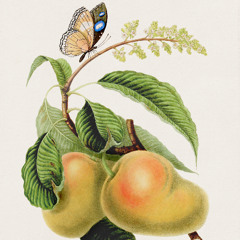 The Dream Merchant - Kick Joy's Cosmic Lounge Revisited