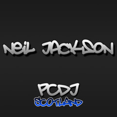 Neil Fuckin Jackson - Bounce Your Ears 2005