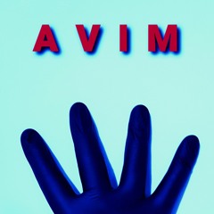 Adventure of Sound with AVIM #2