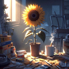 SUNFLOWER|ЯƎWO⅃ᖷИUƧ - rex orange coutry (bad cover)