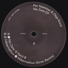 A1 // Per Hammar & Olga Korol - Na Zare