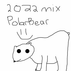 PolarBear- 2022 End Of The Year Mix