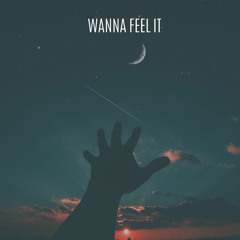 Wanna Feel It