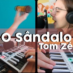 O Sândalo (Tom Zé)