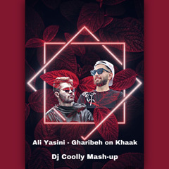 Ali Yasini - Gharibeh on Khaak (Dj Coolly Mash-up)