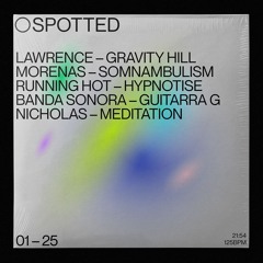 Spotted – January 2025 mini-mix
