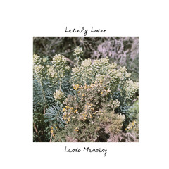 Lately lover