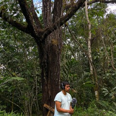 280623 / Listen Fauna / Gino / Maripoxa Binaural