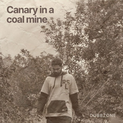 Canary in a coal mine - Dubbzone
