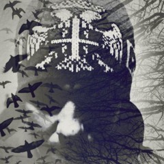 Vinjakoslav goes to rave