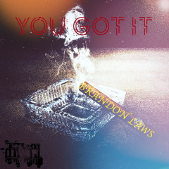 YOU GOT IT BY BRANDON LAWS
