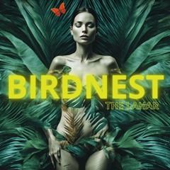 BIRDNEST #146