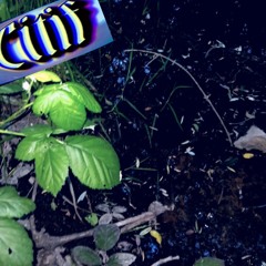 CoMEbY-Citif