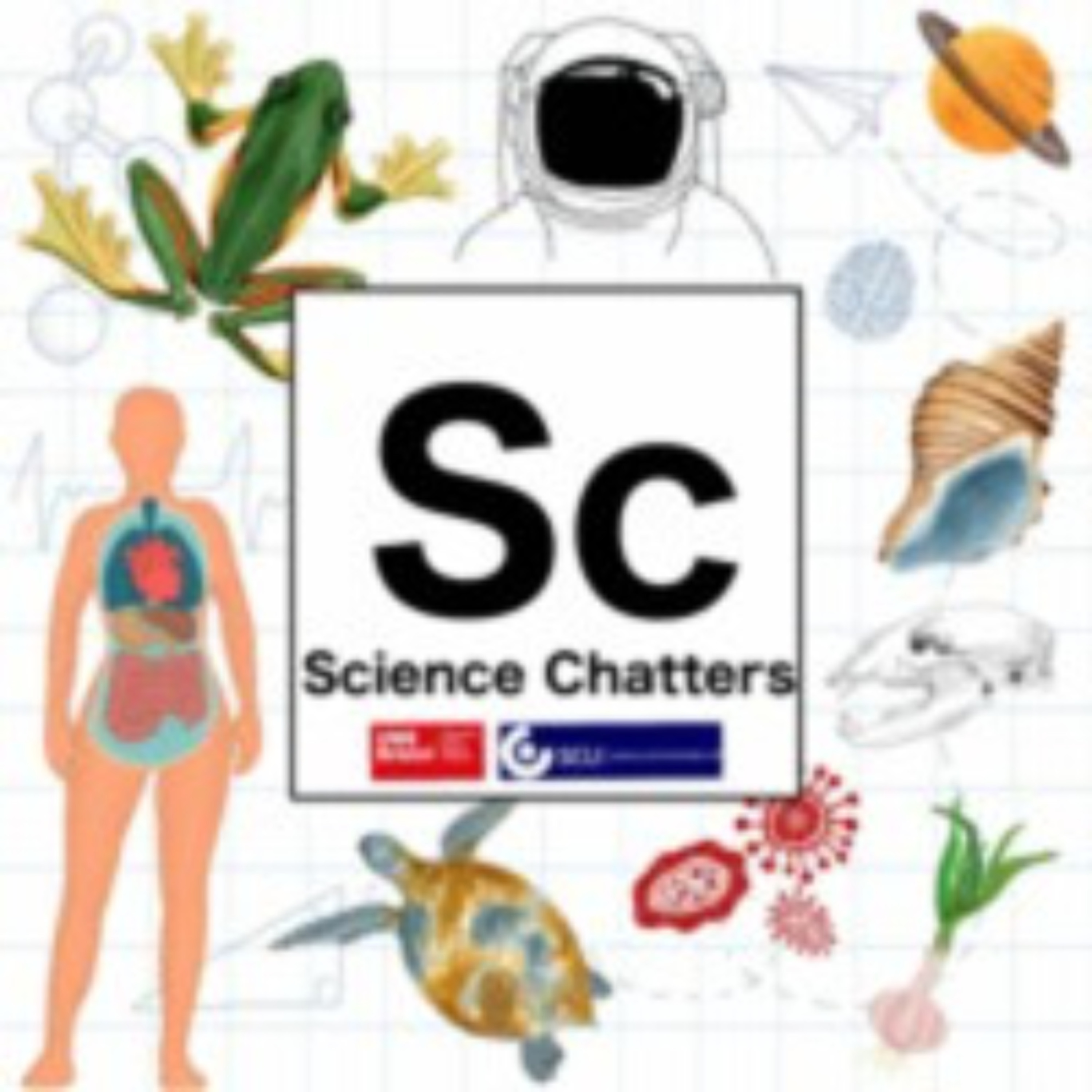 Science Chatters Episode 5 - Performing Pufflings episode artwork