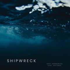 Shipwreck (feat. Nuitarie)