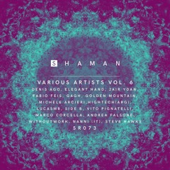 FABIO FEIS - AY MAMA (ORIGINAL MIX) SR073 [SHAMAN RECORDS]