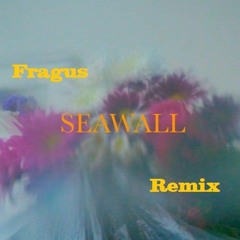NEEV - SEAWALL (Fragus Remix)