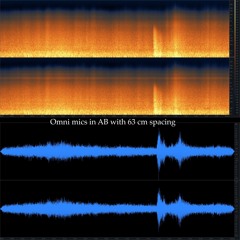 2025.08.29 Stormy Dawn Excerpt: Omni pair in AB with 63 cm spacing