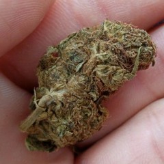 - MC RF = COM A TROPA DA CXD TU TREPA [DJ GUTO & DJ 2K DE RM 2018] (128 kbps) (1).mp3