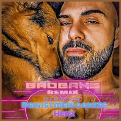 Dein ist mein ganzes Herz - BadBANG Remix.mp3
