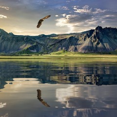 Fly Like An Eagle