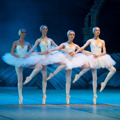 Swan Lake Memory