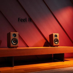 Feel It LDSR 213