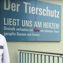 Miin Name Isch Fisch