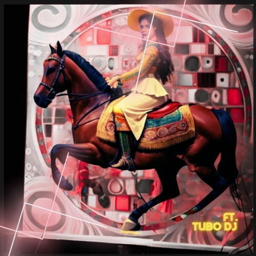 la mic la Stefanie (ft Tubo Dj)  testi Anam Hermit