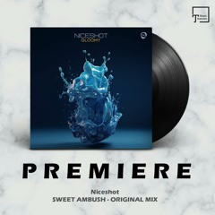 PREMIERE: Niceshot - Sweet Ambush (Original Mix) [ASYMMETRIC DIP]