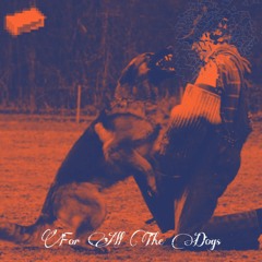 Bir Adım Öteye Git