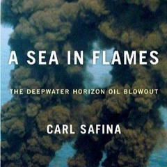 PDF/READ❤  A Sea in Flames: The Deepwater Horizon Oil Blowout