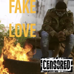 Fake Love